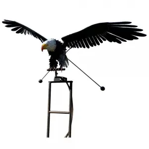 Eagle Rocker, Counterweight